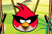 game Angry Birds Get Eggs