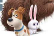 game Secret Life of Pets 6 Diff